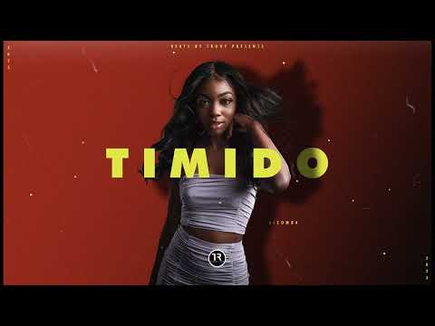 "TIMIDO" MOOMBAHTON type beat 2023 X Afro Zouk X Kizomba instrumental 2023