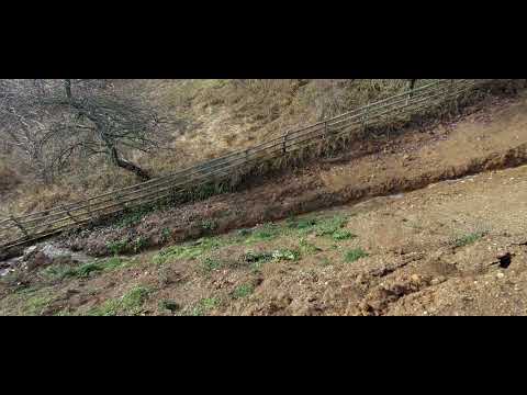 VIKENDICA BORISA STANISICA - BRGULE 10.NOVEMBAR.2021