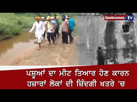 ਪਸ਼ੂਆਂ ਦਾ ਮੀਟ ਤਿਆਰ ਹੋਣ ਕਾਰਨ ਹਜ਼ਾਰਾਂ ਲੋਕਾਂ ਦੀ ਜ਼ਿੰਦਗੀ ਖਤਰੇ 'ਚ