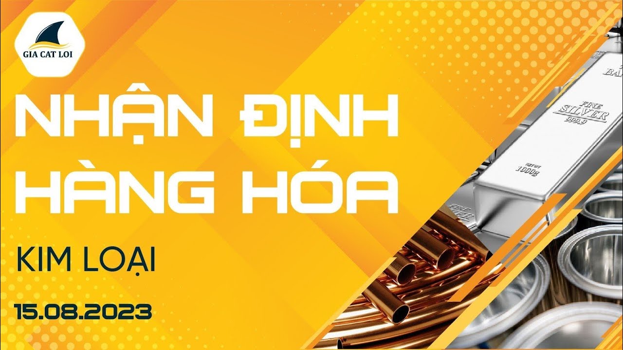 Nhận Định Hàng Hoá Kim Loại Ngày 15/08/2023