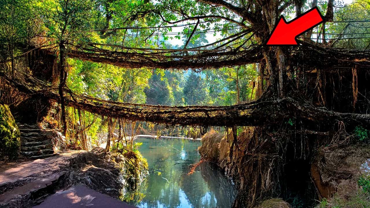 20 MOST FRIGHTENING BRIDGES IN THE WORLD - CURIOUS FACTS AND COMPLETELY DUBBED DOCUMENTARIES