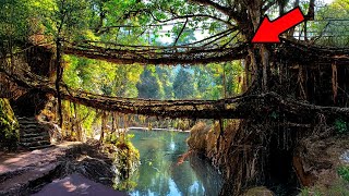 20 MOST FRIGHTENING BRIDGES IN THE WORLD - CURIOUS FACTS AND COMPLETELY DUBBED DOCUMENTARIES