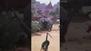 【ECHOES OF AINCRAD】その見た目でバウンドするのは卑怯やろ笑🤣　ショート動画