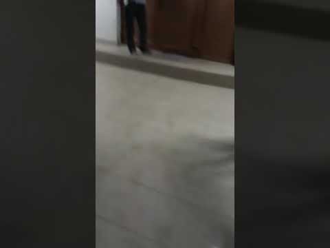 Tradiția de la  GH.Doja