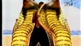 PARALAMAS   Outra Beleza