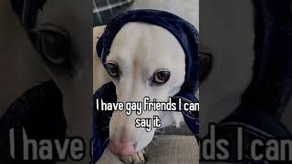 Oh the misery but with the funny Homophobic Dog