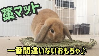 なんだかんだで藁マットが一番飽きない【うさぎ用おもちゃ/Straw mat/rabbit toy】