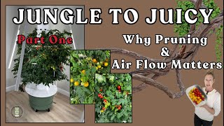 Part 1 Take This Tomato Tower From Jungle to Juicy & Garden Tour #towergarden #farming #garden