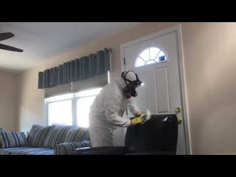 Mold Impacts Closing Process in Bayville, NJ
