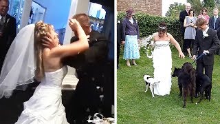 videos de risa selecciones de fase de bodas
