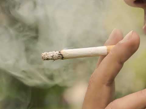 Arakain  -  Nikotin -  D. - Videos