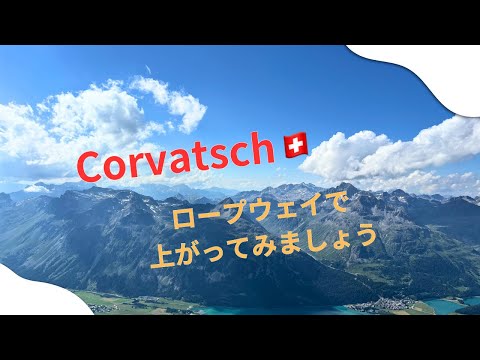 ピッツ・コルヴァッチについて詳しく解説