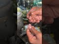 Tiger Jinga Fry On Puri Beach Chaska Food Ka