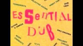 Niney The Observer - Acoustic Dub