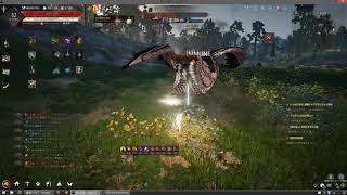 黒い砂漠 覚醒グリフォン Lv62ソロヴァルキリー تنزيل الموسيقى Mp3 مجانا