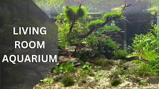 The Last Update: Nature Aquarium (Aquascape