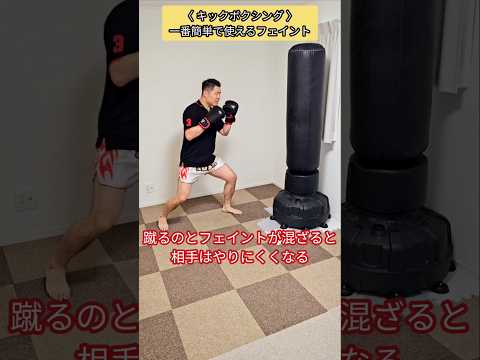 【キックボクシング】初心者から使えるフェイント！ #キックボクシング #ムエタイ #格闘技 #フェイント