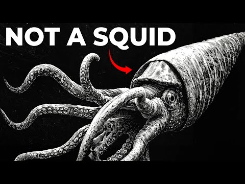 When Earth Was Ruled By Krakens