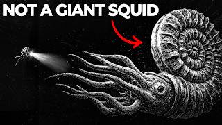 When Krakens Actually Existed