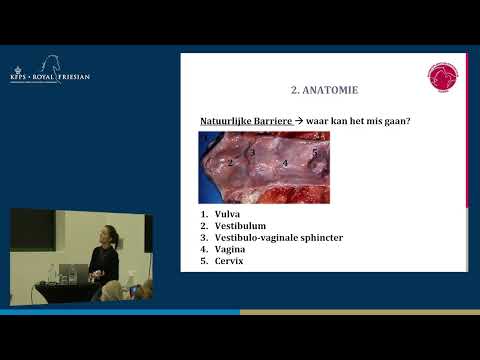 HK 2026 – Vruchtbaarheidsproblemen bij merries | Drs. Maaike Lautenschutz