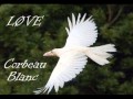 Julien Doré Corbeau Blanc Cover Version 2 Anne Gauché Violon