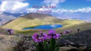 Omar Akram Free Spirit ♥○♪ MLG Reflection: Emptiness♪○♥