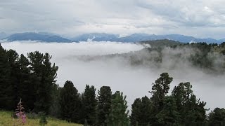 Документальный проект
