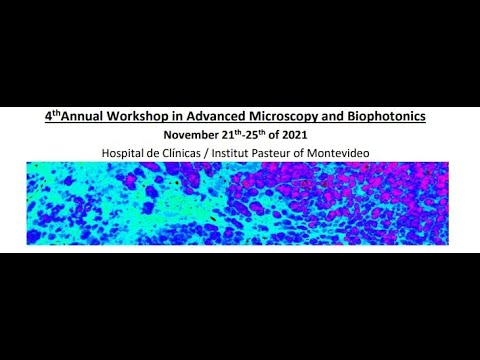 Application talk #7  Alberto Diaspro: Muller matrix and phasor analysis