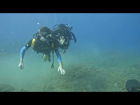 1/9/2022 Dimensione H2O asd Progetto UISP Isola del Tinetto