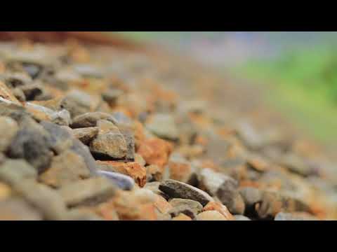 Mughrom - Nazar M. & Khofifah S. || Syahdu