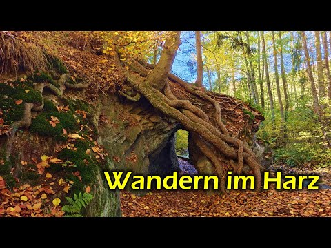 Herbstliche Wanderung auf dem Selketalstieg - Rundweg ab Harzgerode