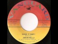 Junior Wells - shake it baby