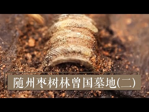 墓地 植物