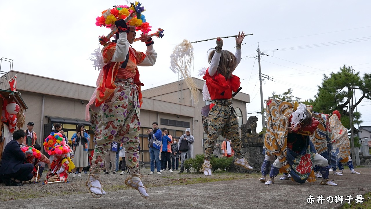 赤井の獅子舞 2026年 神楽岡神社 / 富山県射水市赤井