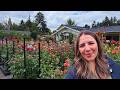 2025 Cut Flower Garden Tour Beautiful Dahlias Zinnias And More