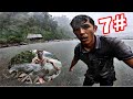 HUNTING FISH IN THE RAINFOREST 7 Days Sleeping In The Forest Picking Vegetables Catching Fish