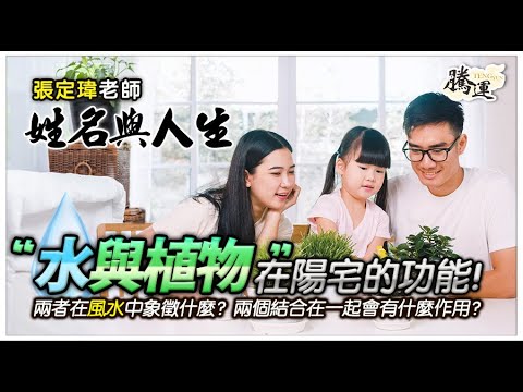 菩提葉象徵