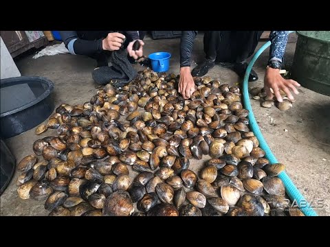 EP698-P2 - Lokan Tocino Ala Dalaman | Occ. Mindoro