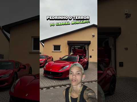 PEDRINHO O TERROR DO GABRIEL MONTEIRO! #gabrielmonteiro