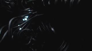 Code Orange - The Mud