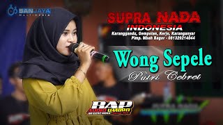 Download lagu Wong Sepele - Ndarboy Genk (Cover Putri Cebret) SUPRANADA INDONESIA || BAP AUDIO mp3