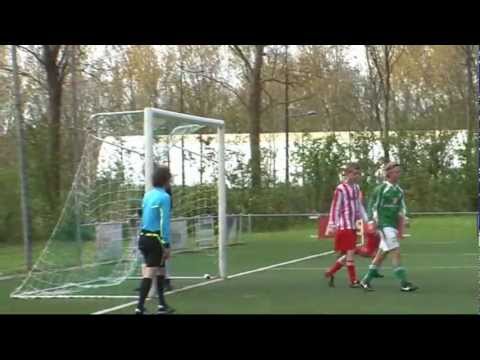 Zeerobben B1-Actief B1