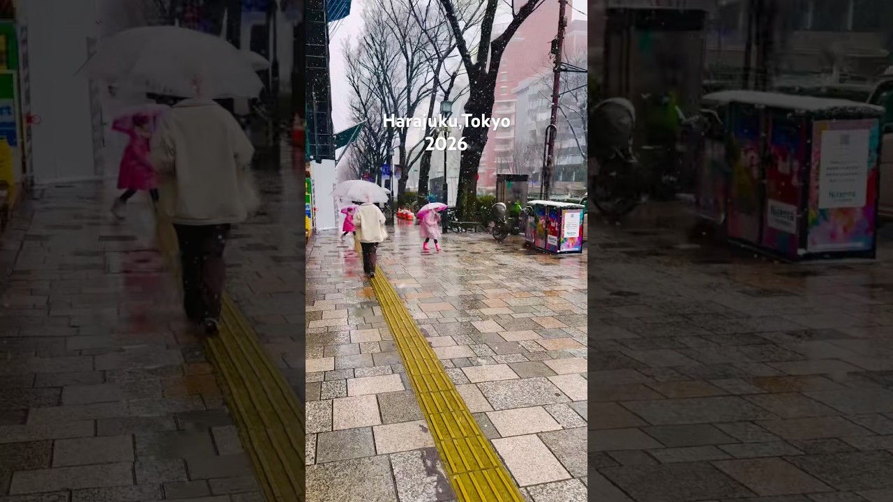 It was a beautiful snowy day ☃️❄️ #tokyo #shortsfeed #japan #tiktok #foryou #newyear2026