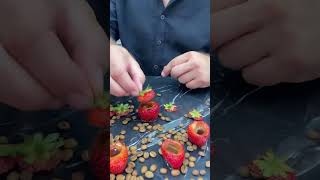 Kahve adam’dan dağ çilekli Türk kahvesi taze kahvenin adresi Ada kahve #sakarya #türkkahvesi #kahve