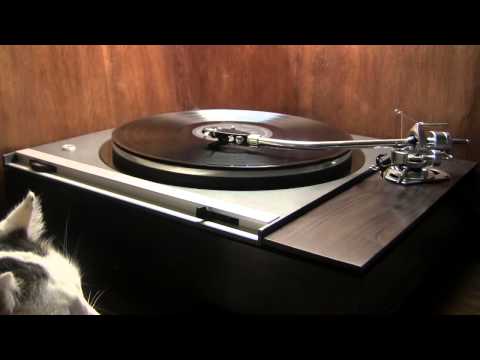 Ese Beso (That Kiss ) David Carroll Orchestra