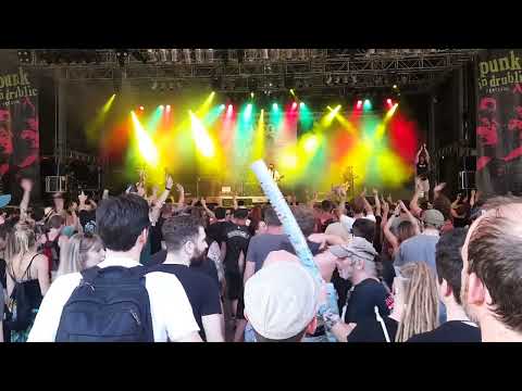 Wiesen-Festivals: Massenbesuch bei „Punk in Drublic“