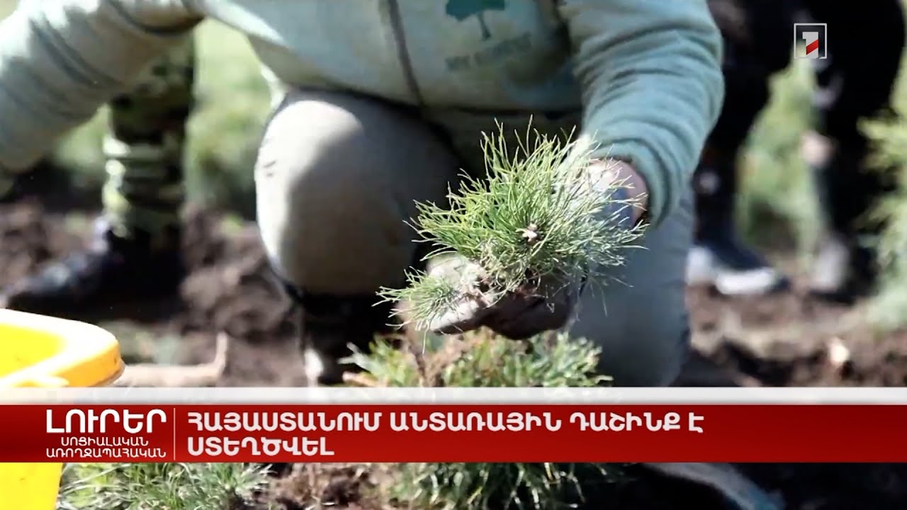 Հայաստանում անտառային դաշինք է ստեղծվել