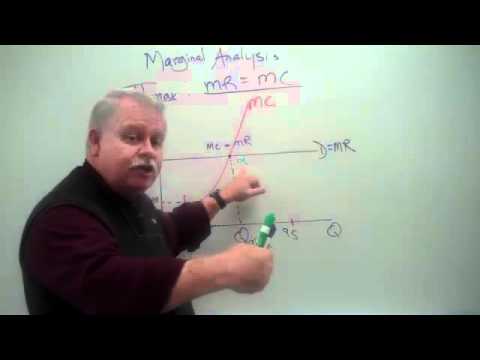 Perfect Competition (3) - Marginal Analysis and Profit Maximization