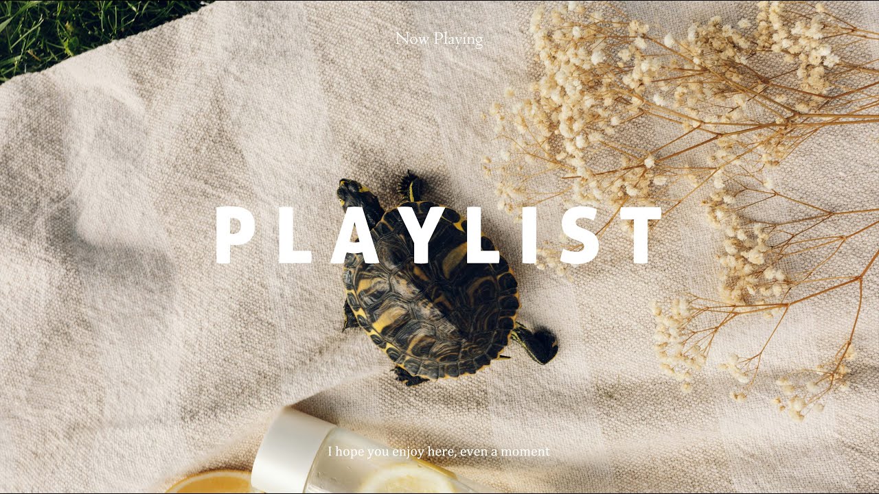 [Playlist] Cafe & Work & Study & Relax Music