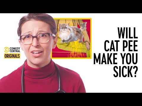Can I Get Sick From Smelling Cat Urine? - Your Worst Fears Confirmed